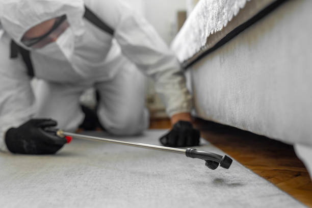 Professional Termite Control technician working in Athens, OH