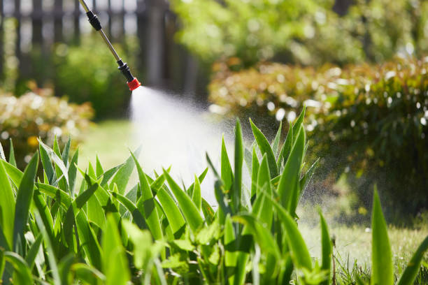 24/7 Emergency Termite Control experts in Athens, OH