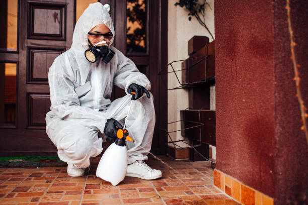 Reliable Termite Control contractor in Athens, OH by Nex Pest Control