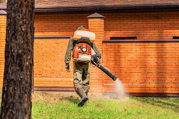 Top rated local Termite Control specialists in Athens, OH